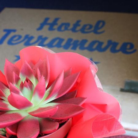 Hotel Terramare Лидо-ди-Езоло Экстерьер фото