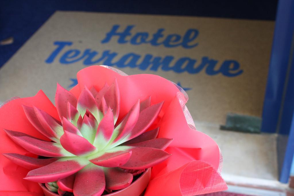 Hotel Terramare Лидо-ди-Езоло Экстерьер фото